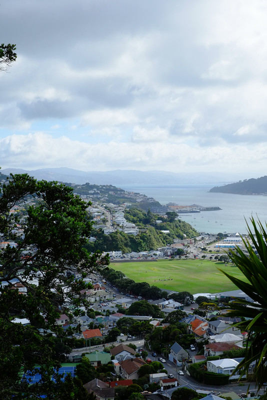 Wellington by overcast