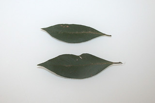 12 - Zutat Lorbeer / Ingredient bay leafs