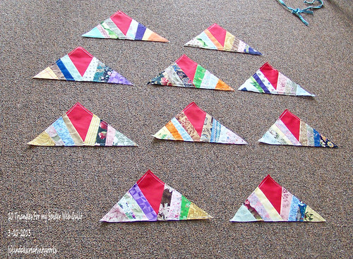 100_8313 - 10 Triangles For my Spider Web Quilt - 3-10-2013
