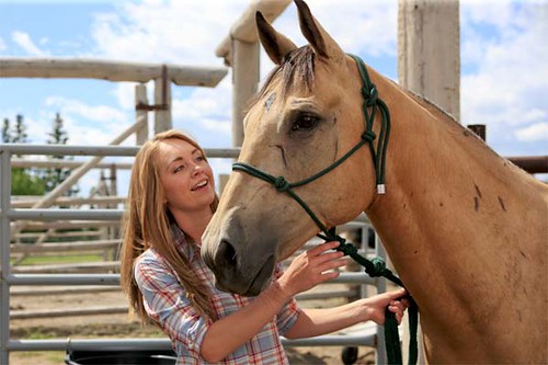 amy from heartland and horse 