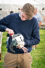 'THE 127th EGTON AGRICULTURAL SHOW' - AUGUST 2016