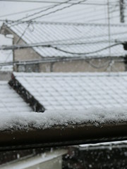 20130114東京雪