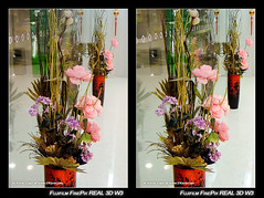 Stereo 3D - Parallel View