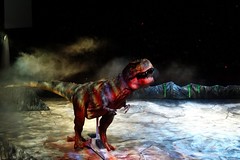 Spectacle des dinosaures Décembre 2012