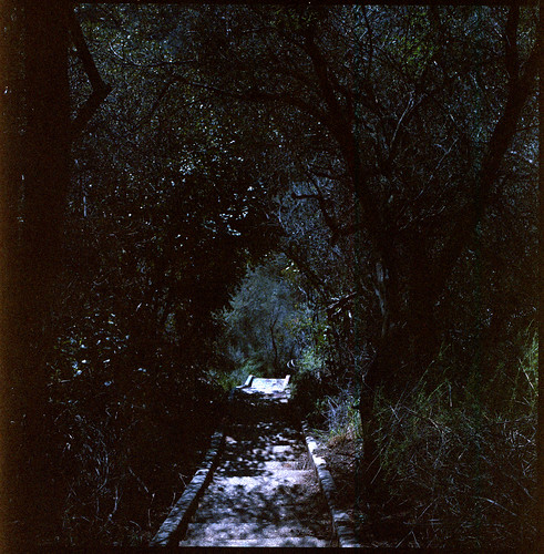 Dark Path Steps