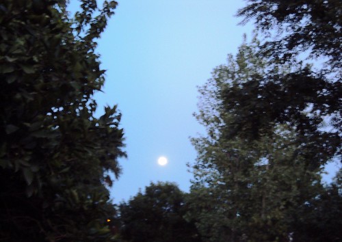 Anochecer con luna llena by Mallaray