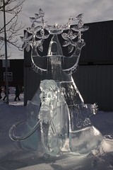 ICE on WHYTE