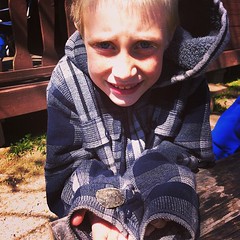 B is for Baby Turtle #nature #hswildlife #homeschool