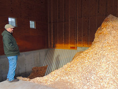 Woodchip Biomass