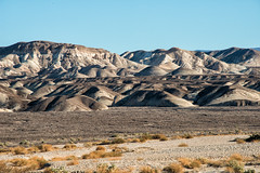 Death Valley, NV