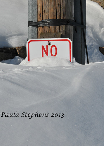 "No . . . . " by Paula Stephens