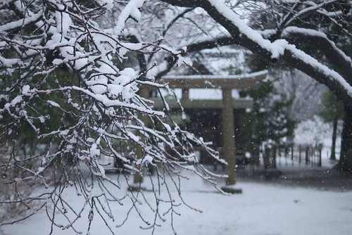 Snow Shrine