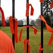 166 orange ribbons and the White House
