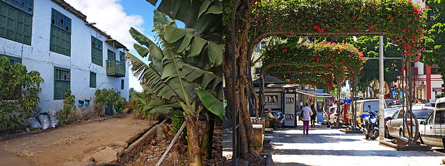 Rural and Urban Tenerife