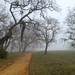 The fog was pretty thick today as we ascended Halls Valley Trail.