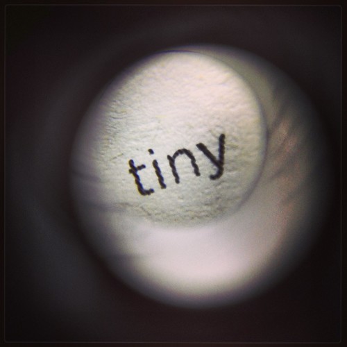 Tiny (51/365) by elawgrrl