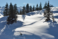 Vacances au ski 2012