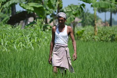 Climate smart villages in South Asia
