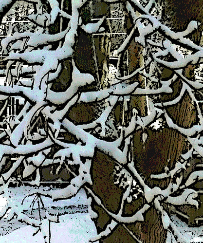 Snow and Tree Branches (Digital Woodcut) by randubnick
