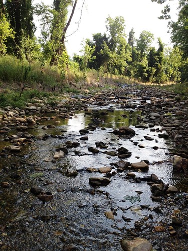Image of an excellent condition stream.