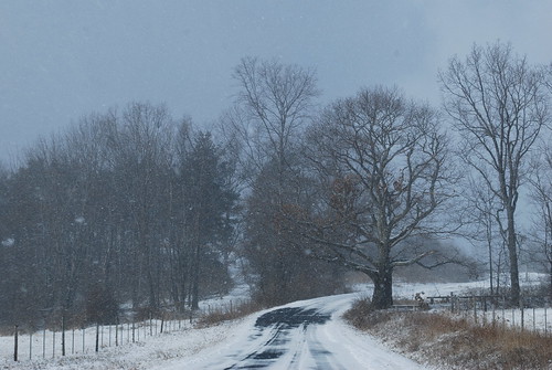 Monastery road in winter