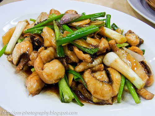 stir fried snakehead fish fillet with spring onions R0022053 copy
