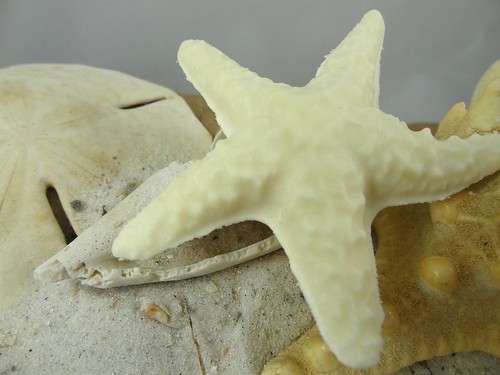 Starfish Soap - The Daily Scrub (6)