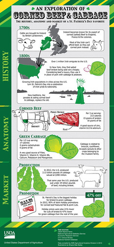 Infographic highlighting the history, anatomy and market of corned beef & cabbage. 