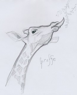 Smithsonian : Giraffe