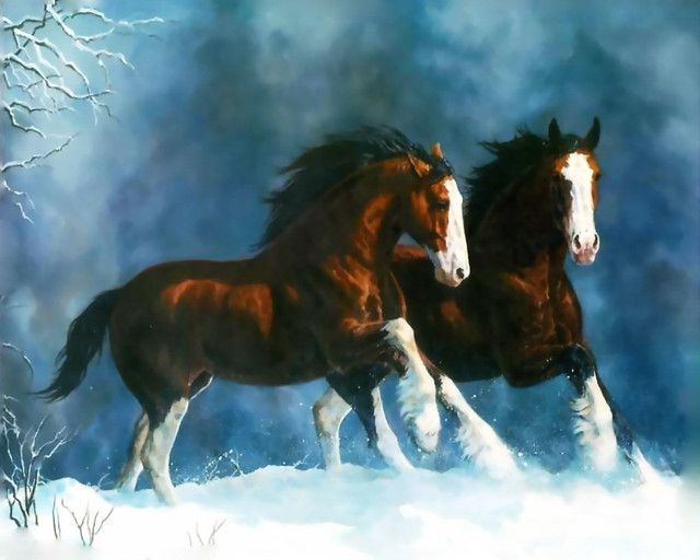2 caballos en la nieve - wallpaper