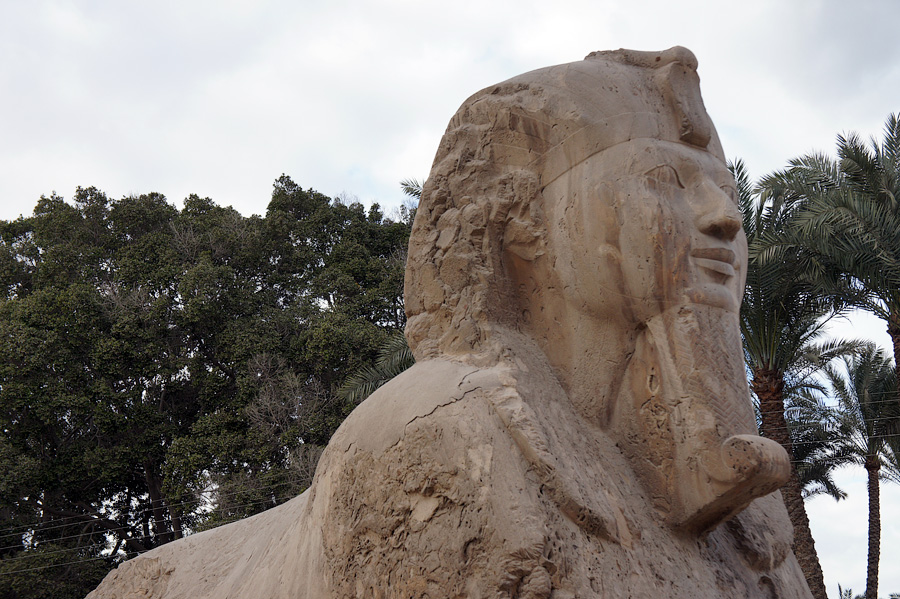 Сфинкс Гизы, Египет 2012 © Kartazon Dream - авторские туры, тревел фото, тревел видео, тревел арт