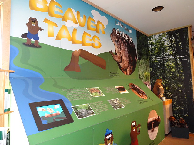 Beaver Tales exhibit