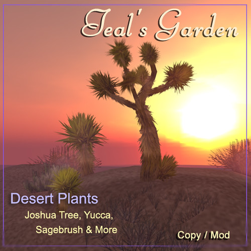 Joshua Tree & Yucca Plants by Teal Freenote