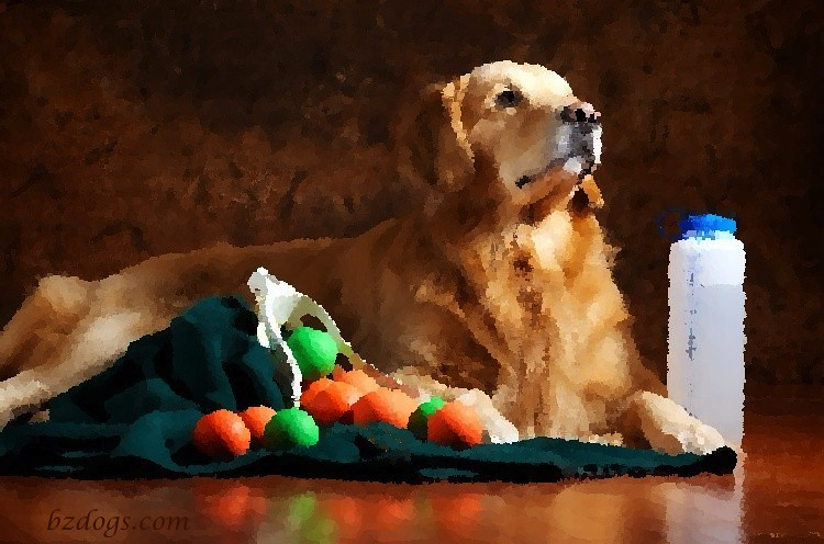 Still Life With Lacrosse Balls