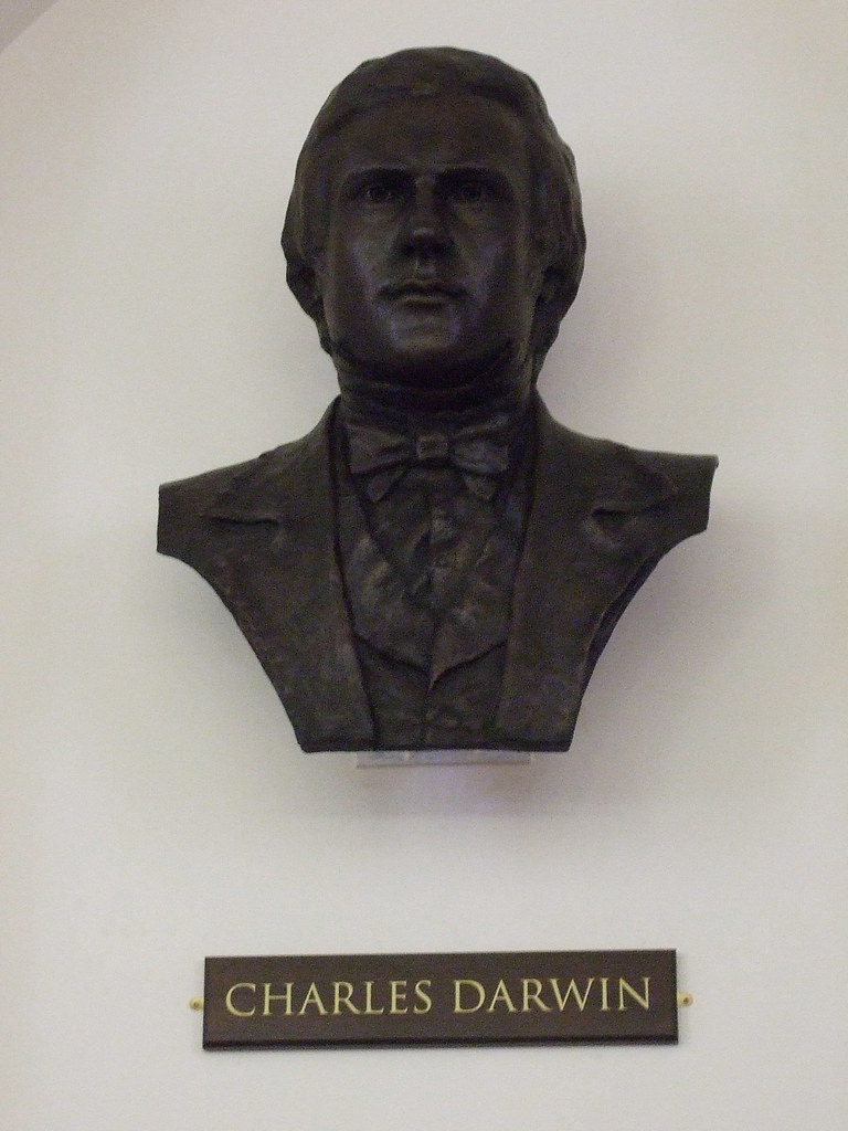 Anthony Smith, Charles Darwin bust 2009