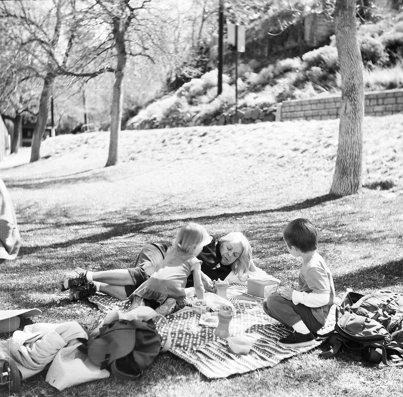 pic-a-nic| Yashica LM | Lomography Black and White 120 | Vanessa Simpson