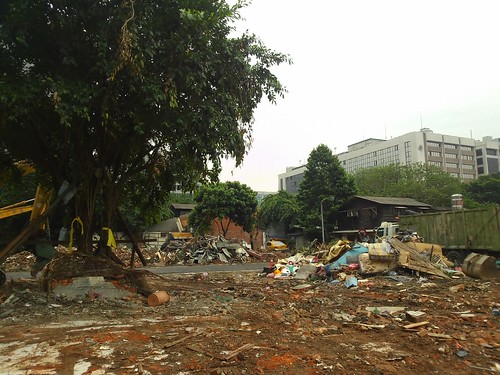 華光社區第一波拆除區域，許多依傍房舍而生的老樹，在施工時遭到不當的破壞。