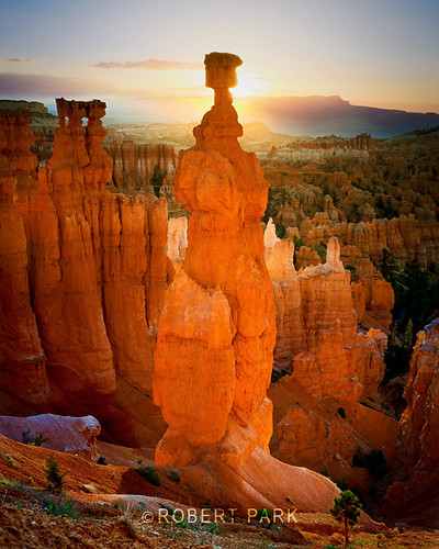"First Light  Bryce Canyon National Park, Utah "By Robert Park  http://www.robert-park.com by Robert Park Photography