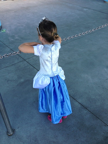 Cinderella Dress - back