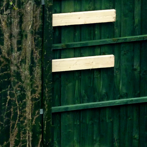 green fence by pho-Tony