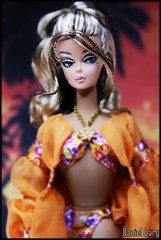 Palm beach swim suit Barbie