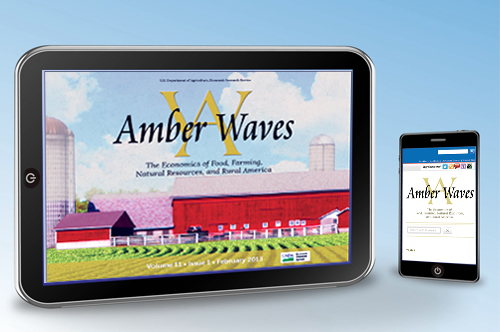 Readers of ERS’s Amber Waves can now access the magazine offline via a mobile app that is free to download on iPads and Android  tablets (left) – without internet or cellular connection. And the Internet edition of Amber Waves configures automatically to fit tablets or other mobile devices.