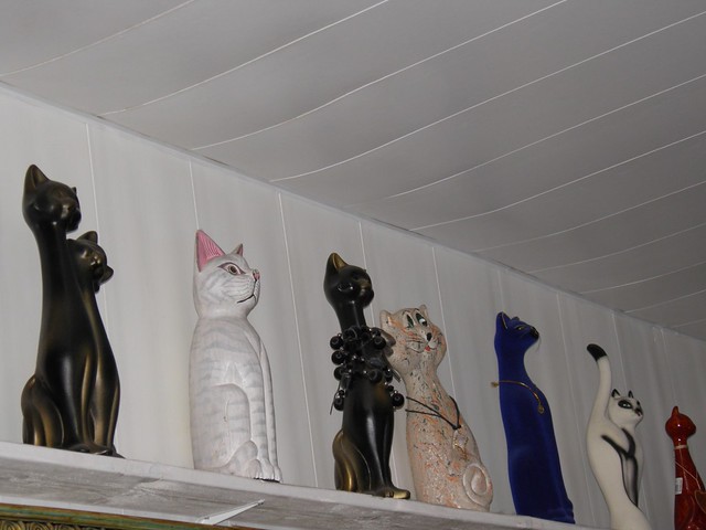 Коты на полках // Cats on shelf