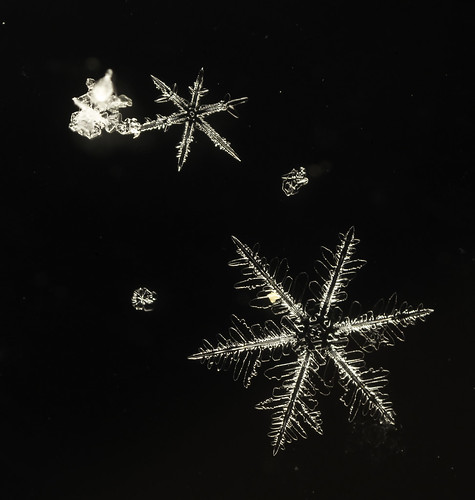 snow_crystals_3