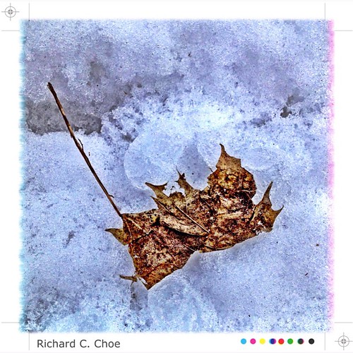 Leaf on ice 2 by rchoephoto