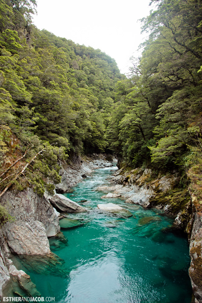 Blue Pools New Zealand | Day 7 New Zealand Sweet as South Contiki Tour | A Guide to South Island