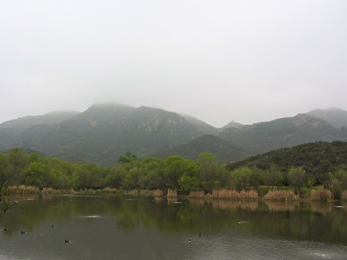 foggy santa monica mountains