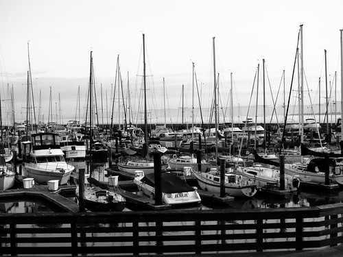 Non-Sea Lion Docks