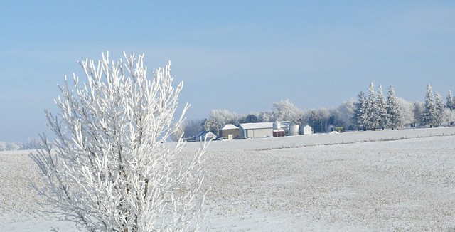 snow in farm field