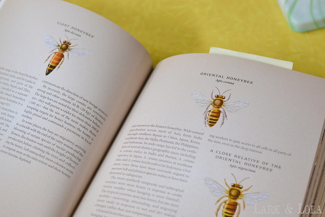 The Beekeeper's Bible - bees